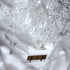 brown outdoor bench with snow on top